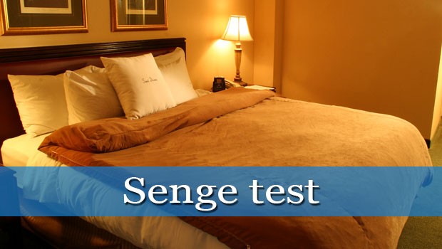 senge test