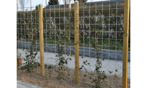 Hortus rionet espalier i galv. tillaegsfag inkl. beslag og stolpe 90 x 150 cm