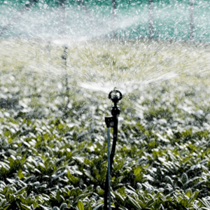 Plantetorvet Sprinkler komplet